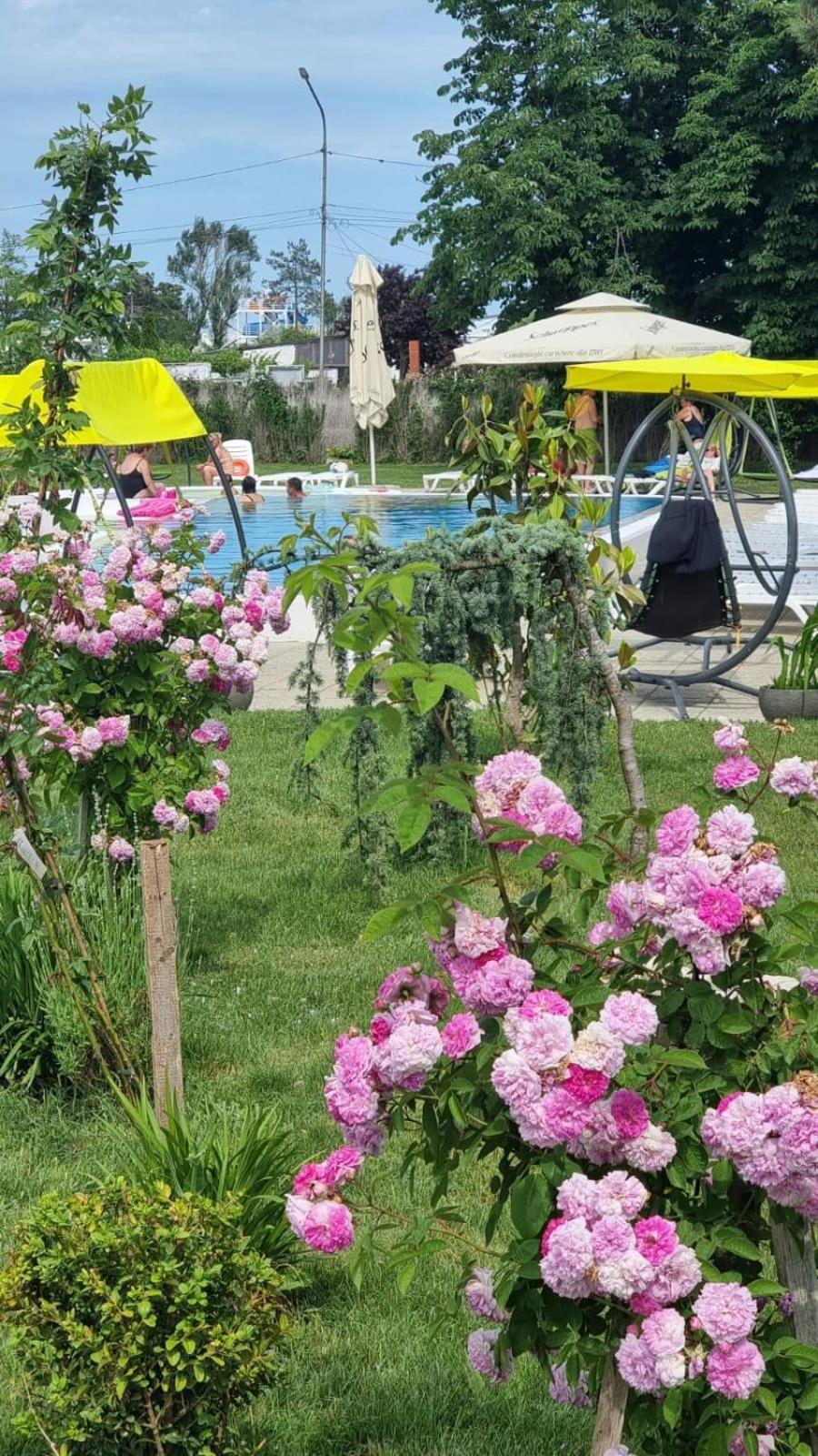 Hotel Iulia Resort Venus Exterior photo